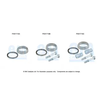 BM CATALYSTS FK91710 - Kit d'assemblage, catalyseur