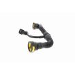 VAICO V42-0855 - Tuyau, ventilation de carter-moteur