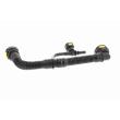 VAICO V42-0855 - Tuyau, ventilation de carter-moteur