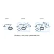 BM CATALYSTS FK91842 - Kit d'assemblage, catalyseur