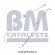 BM CATALYSTS PP11371A - Conduite à press, capteur de press (filtre particule/suie)