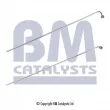 Conduite à press, capteur de press (filtre particule/suie) BM CATALYSTS [PP11415A]