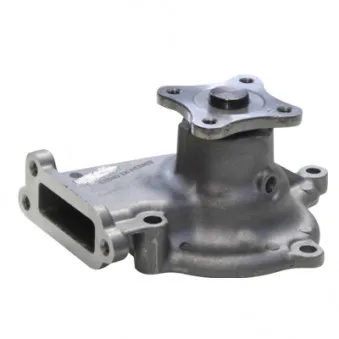 Pompe à eau HITACHI OEM 210100M302