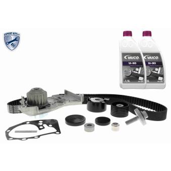 Pompe à eau + kit de courroie de distribution VAICO OEM 8200557644
