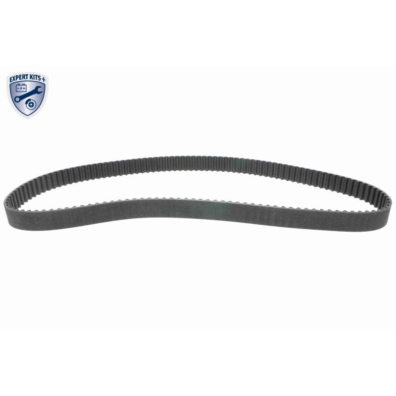 Pompe à eau + kit de courroie de distribution VAICO V46-50024-BEK - Visuel 2