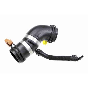 Durite de radiateur VAICO V48-0497