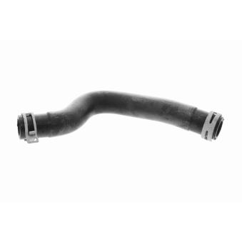 Durite de radiateur VAICO V58-0311