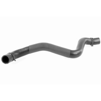 Durite de radiateur VAICO V95-0397