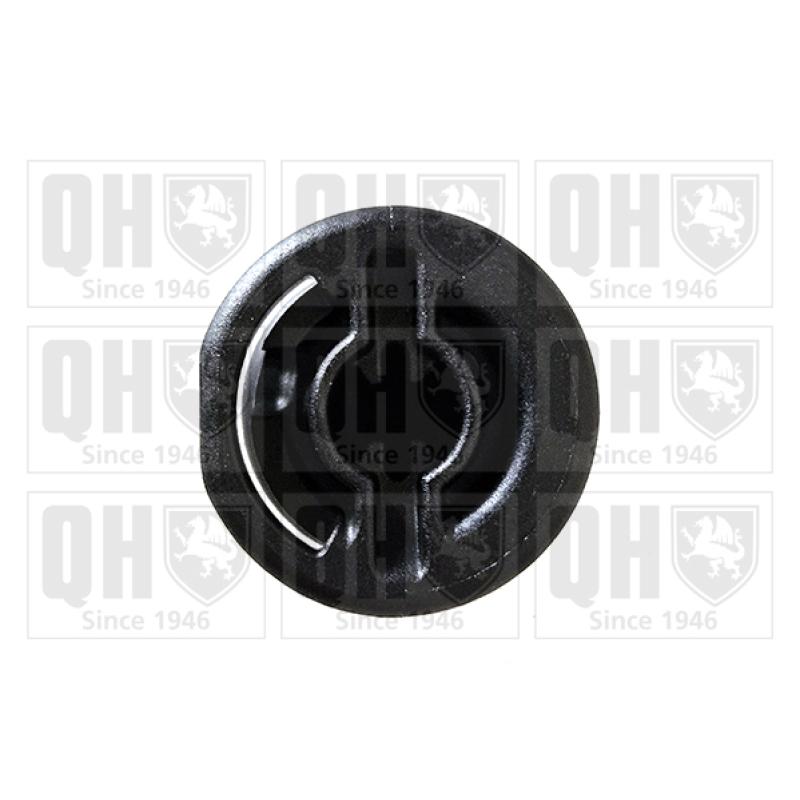 Vis-bouchon, carter d'huile QUINTON HAZELL QOC1004 - Visuel 1