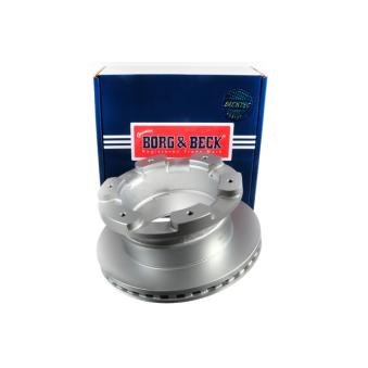 Jeu de 2 disques de frein arrière BORG & BECK OEM 2996049