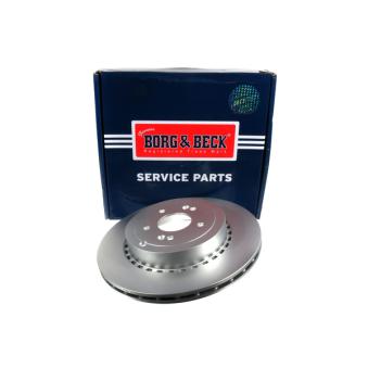 Jeu de 2 disques de frein arrière BORG & BECK [BBD6249S]