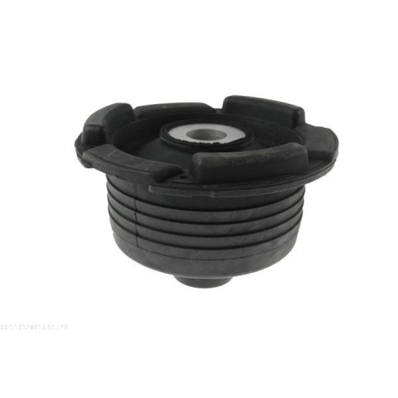 Suspension, corps de l'essieu AUTOMEGA 110178010 - Visuel 1