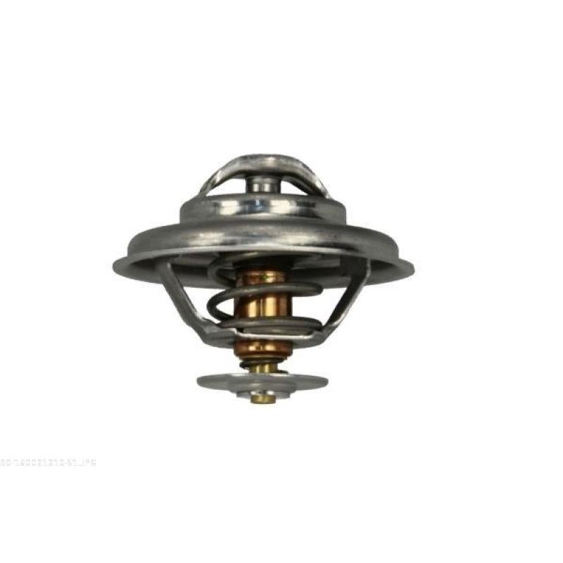 Thermostat d'eau AUTOMEGA 160021210 - Visuel 1