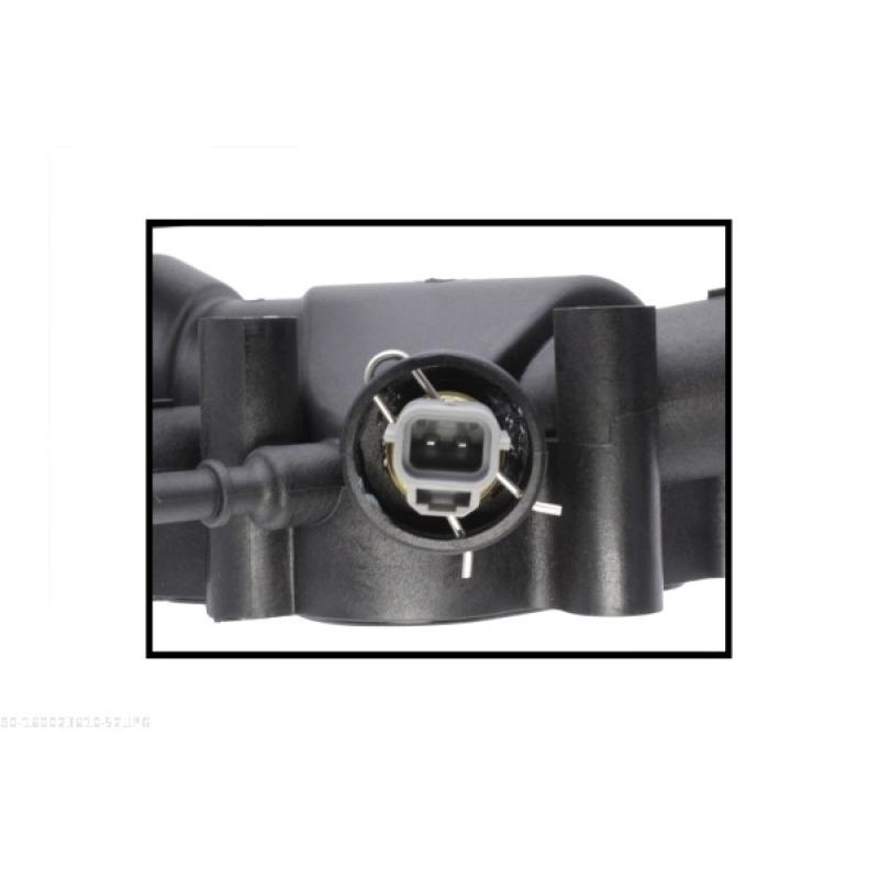 Thermostat d'eau AUTOMEGA 160023610 - Visuel 2