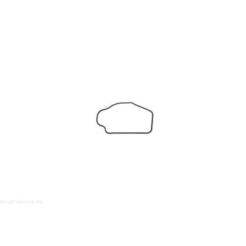 Thermostat d'eau AUTOMEGA 160100410 - Visuel 2