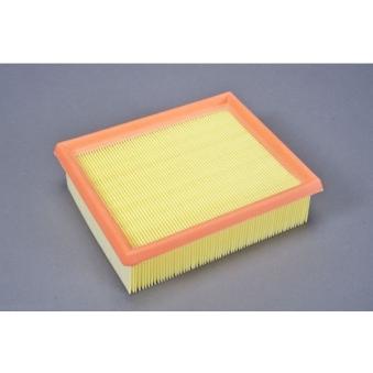 Filtre à air AUTOMEGA [180030110]