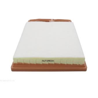 Filtre à air AUTOMEGA [180032710]