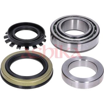 Kit de roulements de roue ASHIKA 44-20311