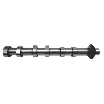 Arbre à came AE CAM985 pour LAND ROVER RANGE ROVER SPORT 2.7 D 4x4 - 190cv