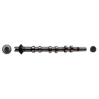 Arbre à came AE CAM987 pour LAND ROVER RANGE ROVER SPORT 2.7 D 4x4 - 190cv