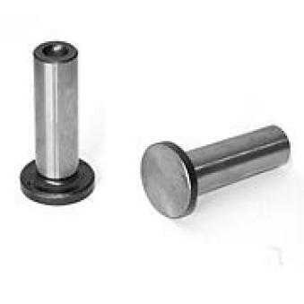 Poussoir de soupape AE FOL85 Poussoir de soupape AE FOL85