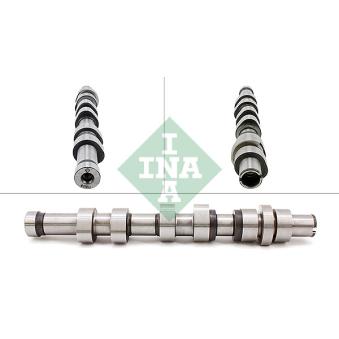 Arbre à came INA 428 0170 10