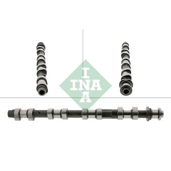 Arbre à came INA 428 0196 10