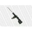 MONROE G8325 - Jeu de 2 Amortisseurs avant