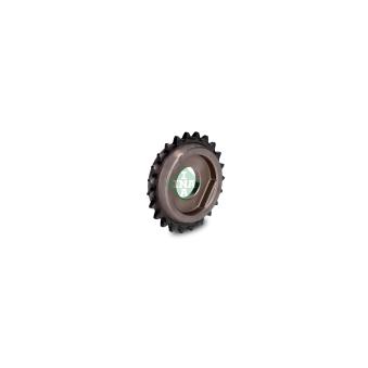 Roue dentée, arbre à contrepoids d'équilibrage INA 554 0085 10