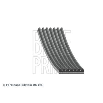 Courroie trapézoïdale à nervures BLUE PRINT OEM 6000616600