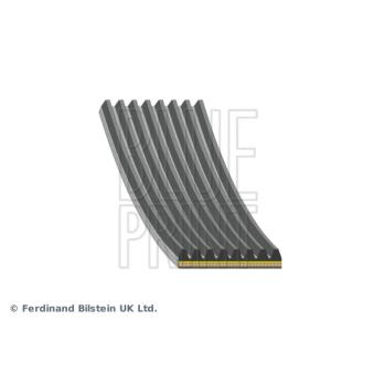 Courroie trapézoïdale à nervures BLUE PRINT AD08A1055