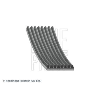 Courroie trapézoïdale à nervures BLUE PRINT AD08R1173