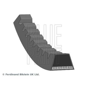 Courroie trapézoïdale BLUE PRINT OEM 563132