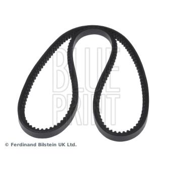 Courroie trapézoïdale BLUE PRINT OEM MD313660