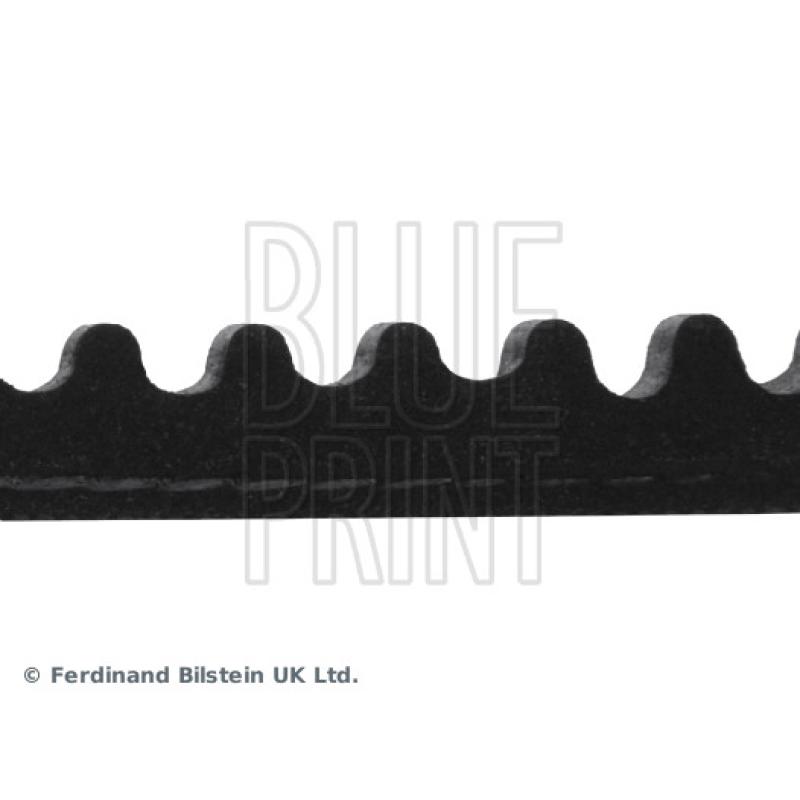 Courroie trapézoïdale BLUE PRINT AD13V1075 - Visuel 1
