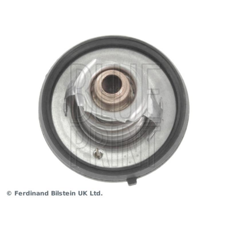 Thermostat d'eau BLUE PRINT ADA109203 - Visuel 1