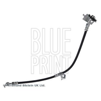 Flexible de frein BLUE PRINT ADBP530028 pour HYUNDAI KONA 1.6 CRDi - 116cv