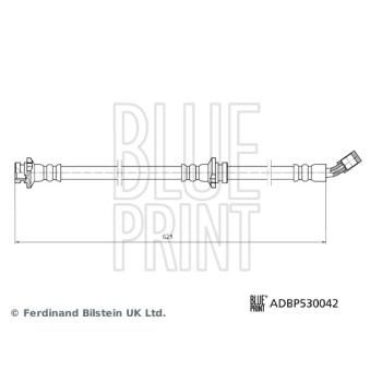 Flexible de frein avant gauche BLUE PRINT OEM 462104CE0B