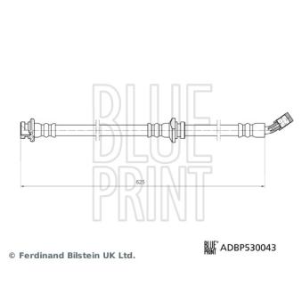 Flexible de frein avant droit BLUE PRINT OEM 462104CE0A