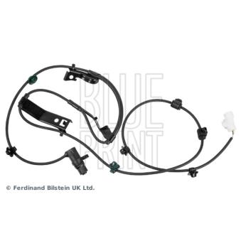 Capteur, vitesse de roue avant droit BLUE PRINT OEM 895420K020