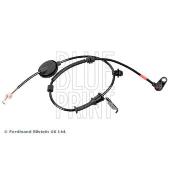 Capteur, vitesse de roue arrière droit BLUE PRINT OEM 599301W000