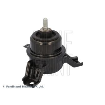 Support moteur avant droit BLUE PRINT [ADBP800502]