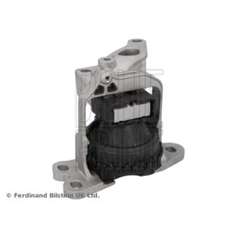 Support moteur BLUE PRINT OEM 113752598R