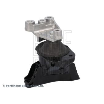 Support moteur BLUE PRINT OEM 50820SNBJ02