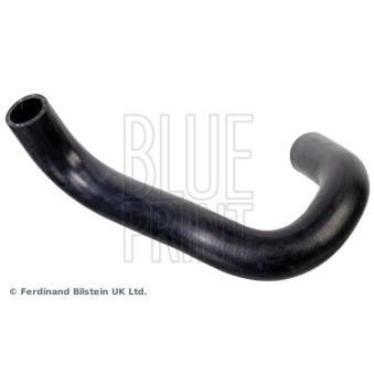 Durite de radiateur BLUE PRINT [ADBP930006]