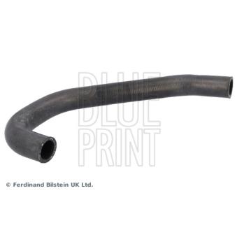 Durite de radiateur BLUE PRINT ADBP930012