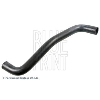 Durite de radiateur BLUE PRINT ADBP930018