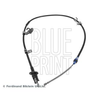 Tirette à câble, frein de stationnement arrière droit BLUE PRINT [ADC446180]