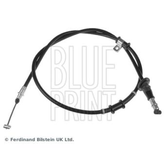 Tirette à câble, frein de stationnement arrière droit BLUE PRINT [ADC446203]