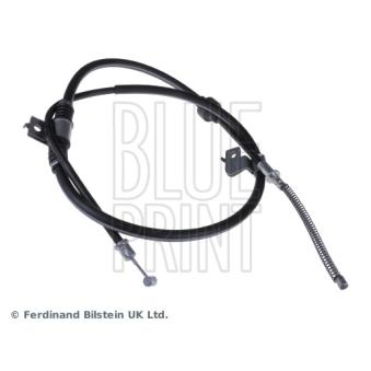 Tirette à câble, frein de stationnement arrière gauche BLUE PRINT ADC446214 pour PORSCHE 911 1.8 DI-D - 116cv